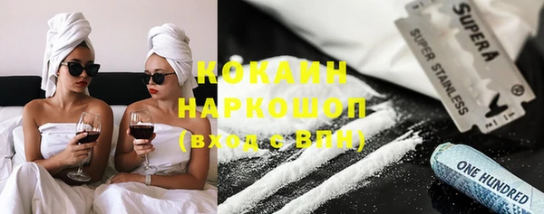 индика Беломорск