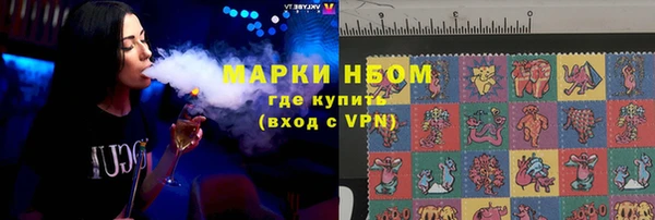 индика Беломорск