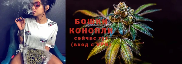 крисы Белокуриха