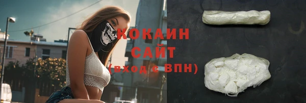 крисы Белокуриха