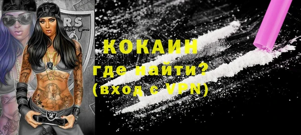 индика Беломорск