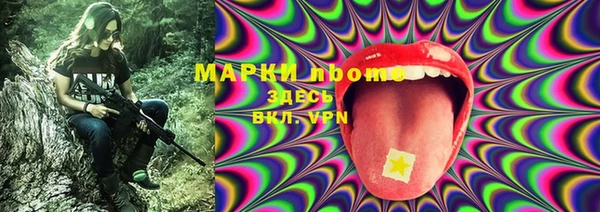 индика Беломорск