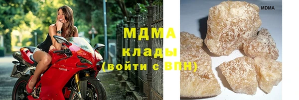 индика Беломорск