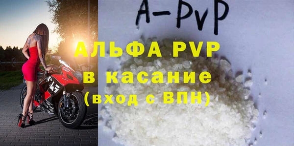 индика Беломорск
