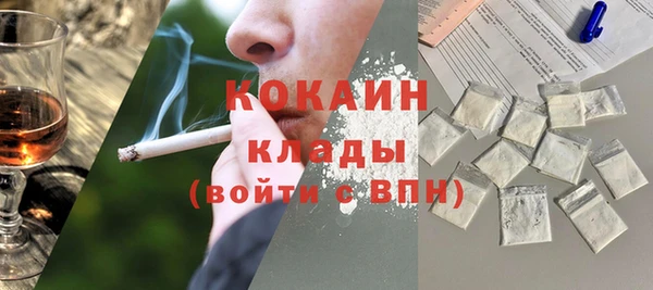 крисы Белокуриха