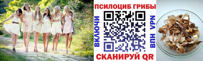 где продают   Первомайск  Галлюциногенные грибы GOLDEN TEACHER 